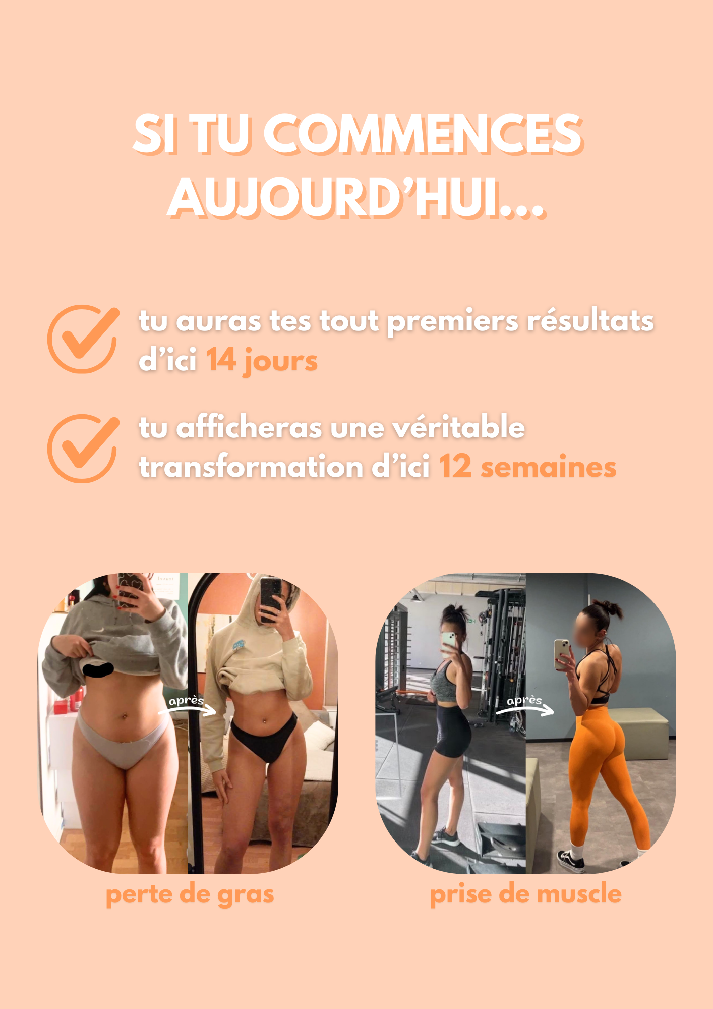 BOOTYGAINS 1.0 (programme de musculation)